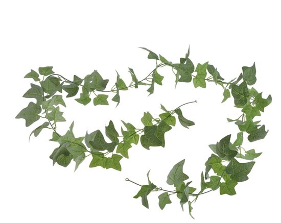 Griestu dekors - zaļumu virtene līdz 20 metriem, noma